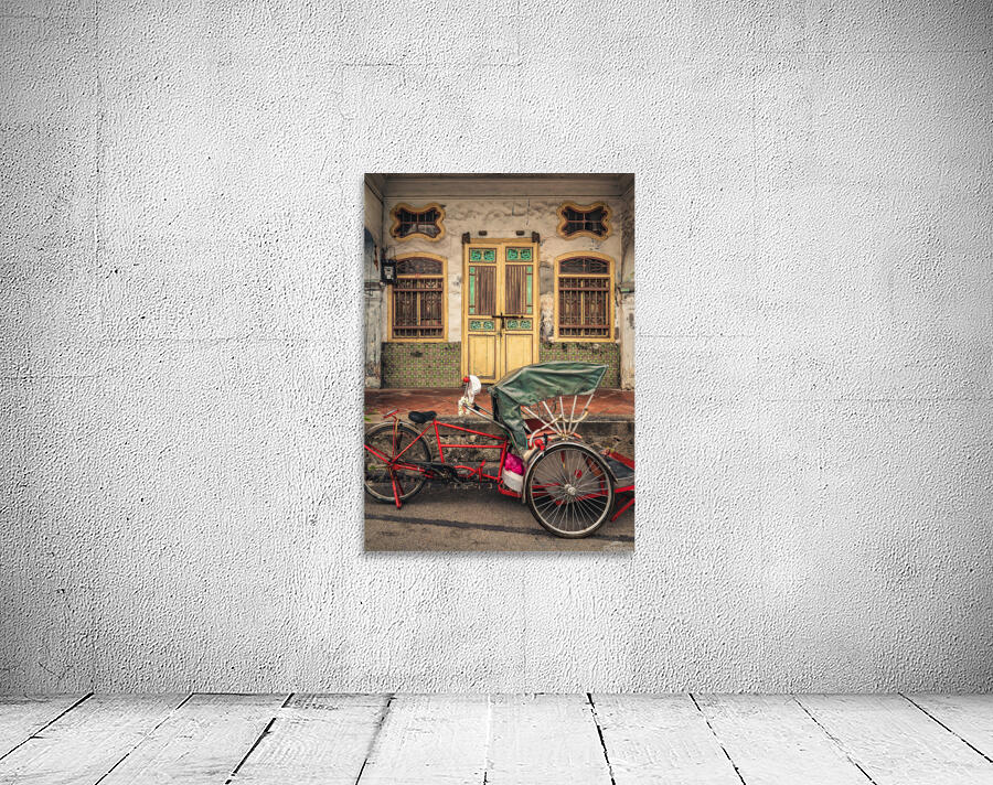 Backstreets of Penang Wall Preview