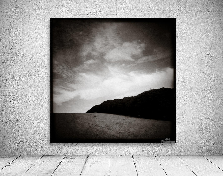 Forests Edge Wall Preview