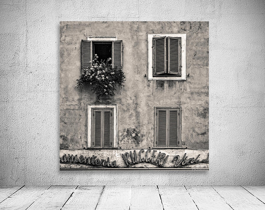 Four Windows Wall Preview