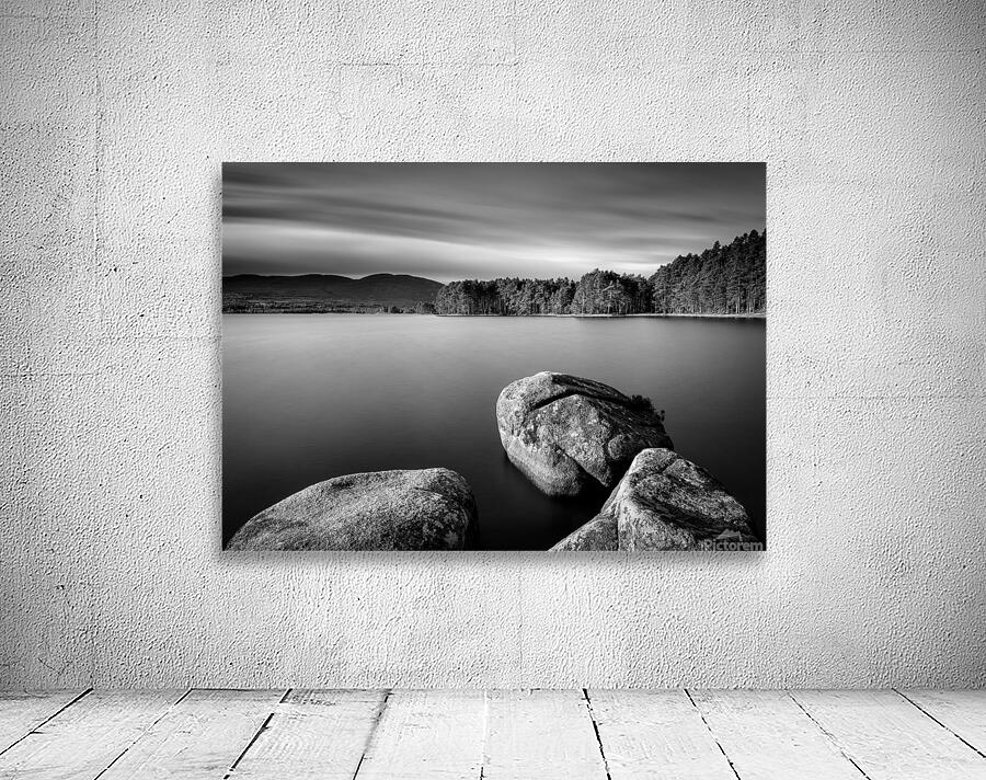 Loch Garten Wall Preview