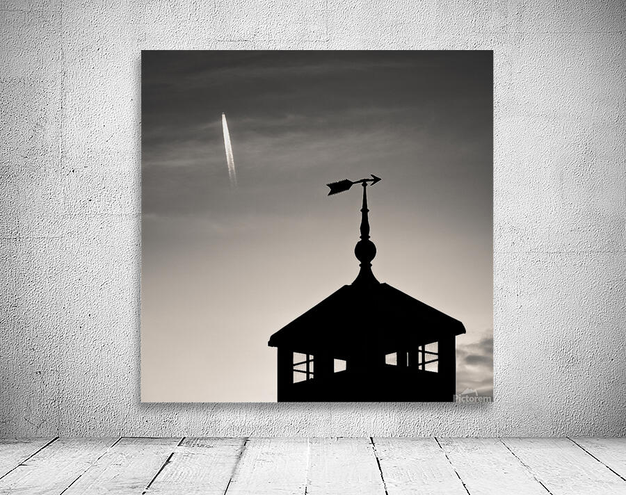 Weather Vane and Plane Wall Preview