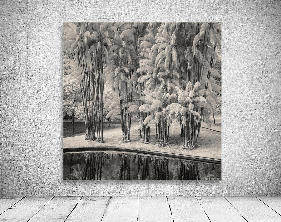 KLCC Park Bamboo Wall Preview