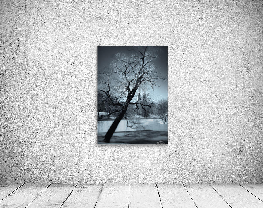 Winter in Central Park Wall Preview