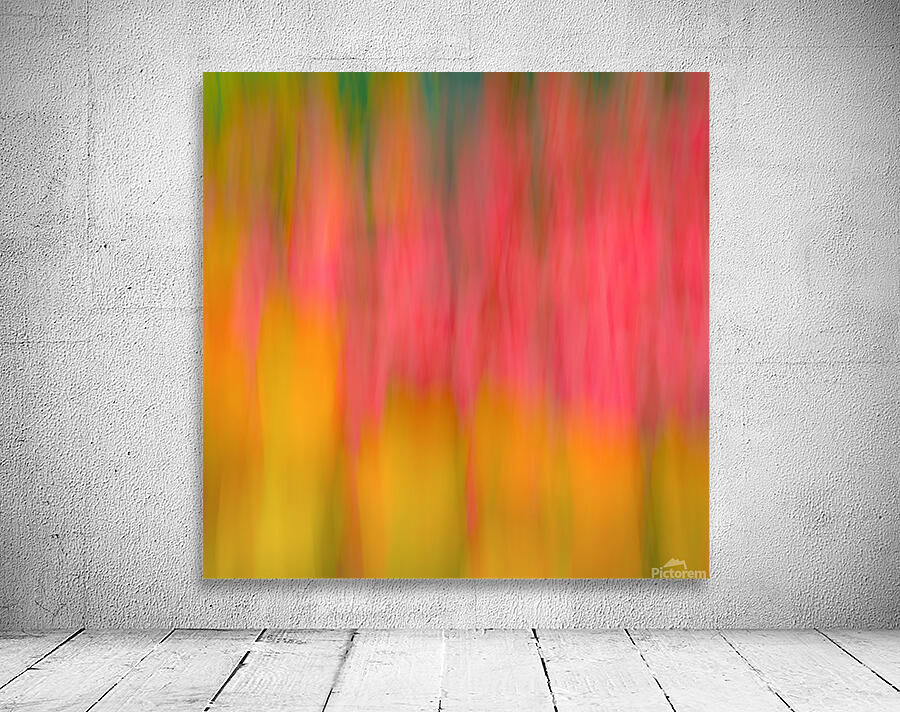 Tulips in Motion Wall Preview