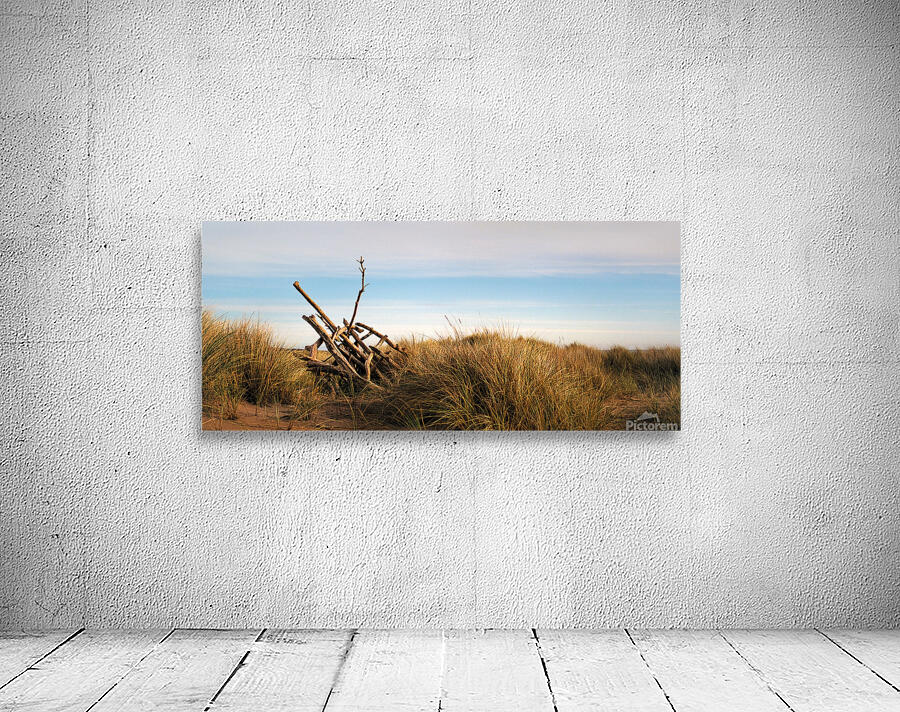 Driftwood Wall Preview