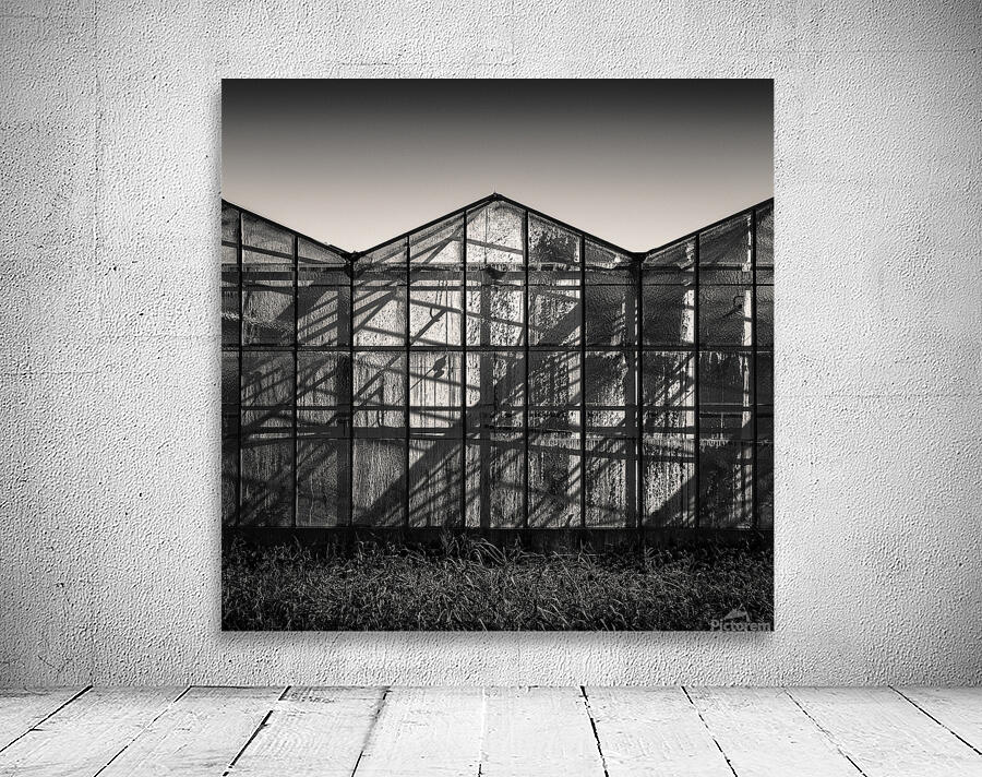 Greenhouse Shadows Wall Preview