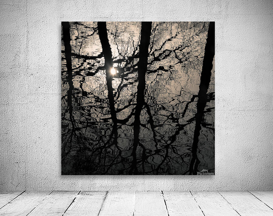 Woodland Waters Wall Preview