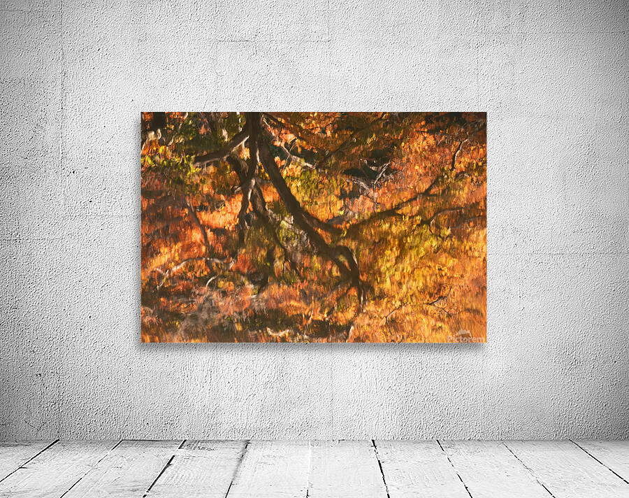 Shinjuku Gyoen Autumn Reflection Wall Preview