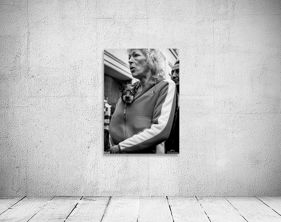 Hitchhiker Wall Preview