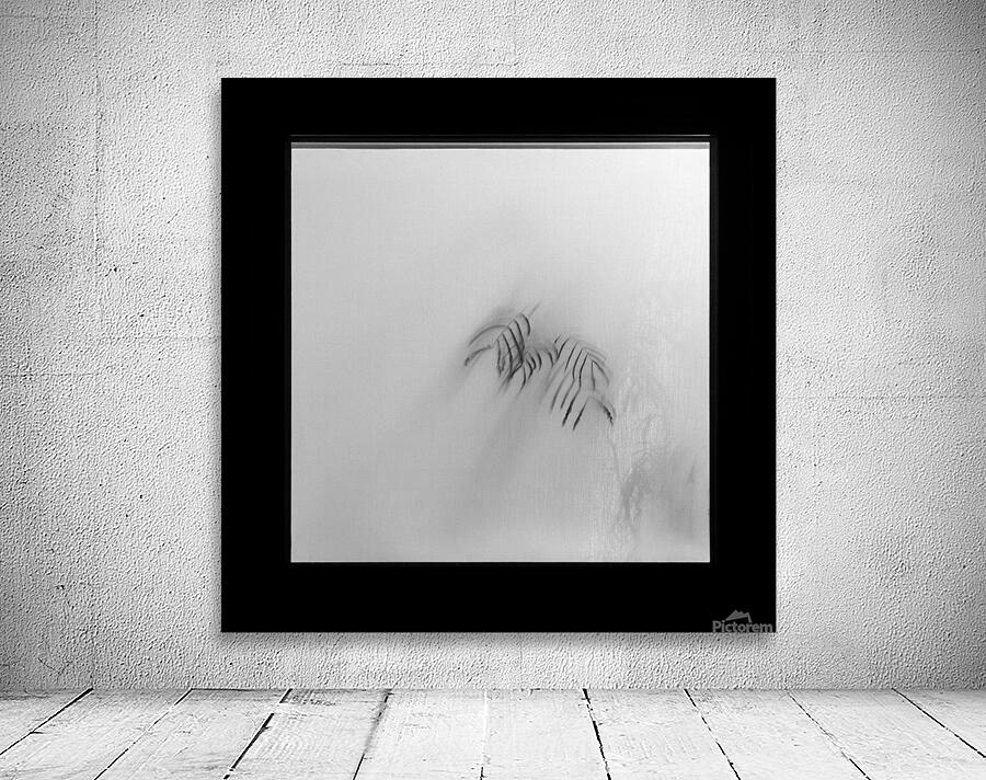 Kyoto House Plant Wall Preview