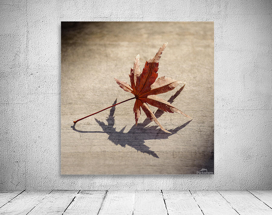 Fallen Beauty Wall Preview