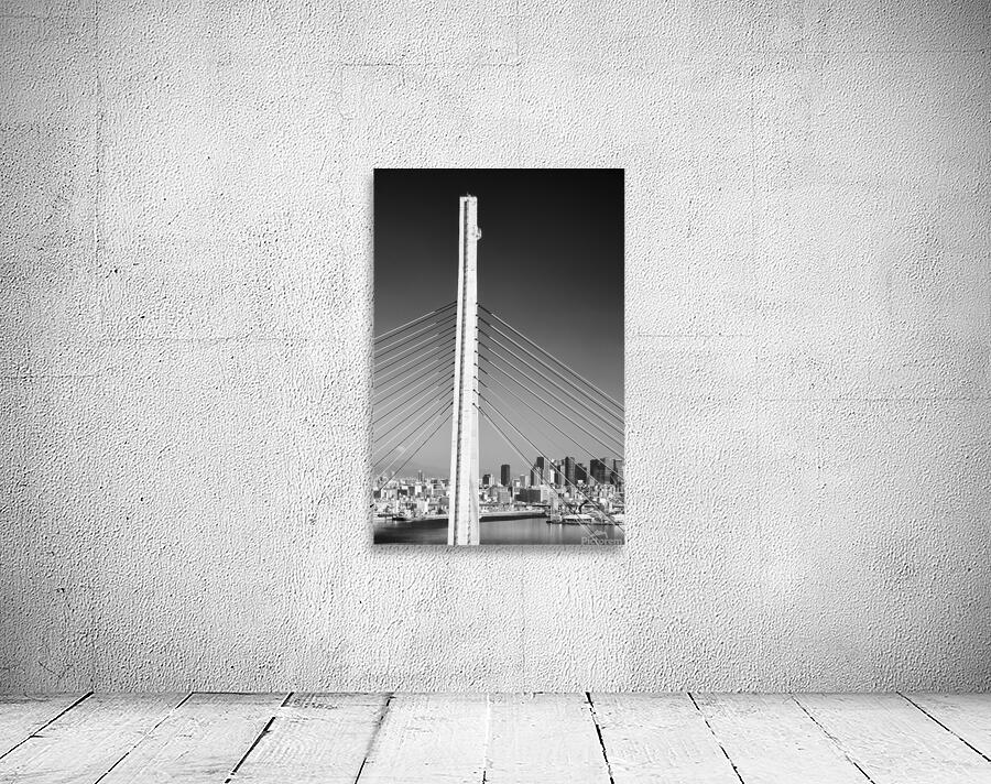 Tempozan Bridge Tower Wall Preview