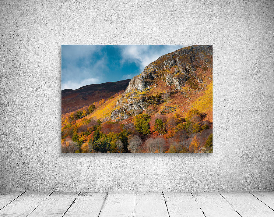 Autumn at Craigower Wall Preview