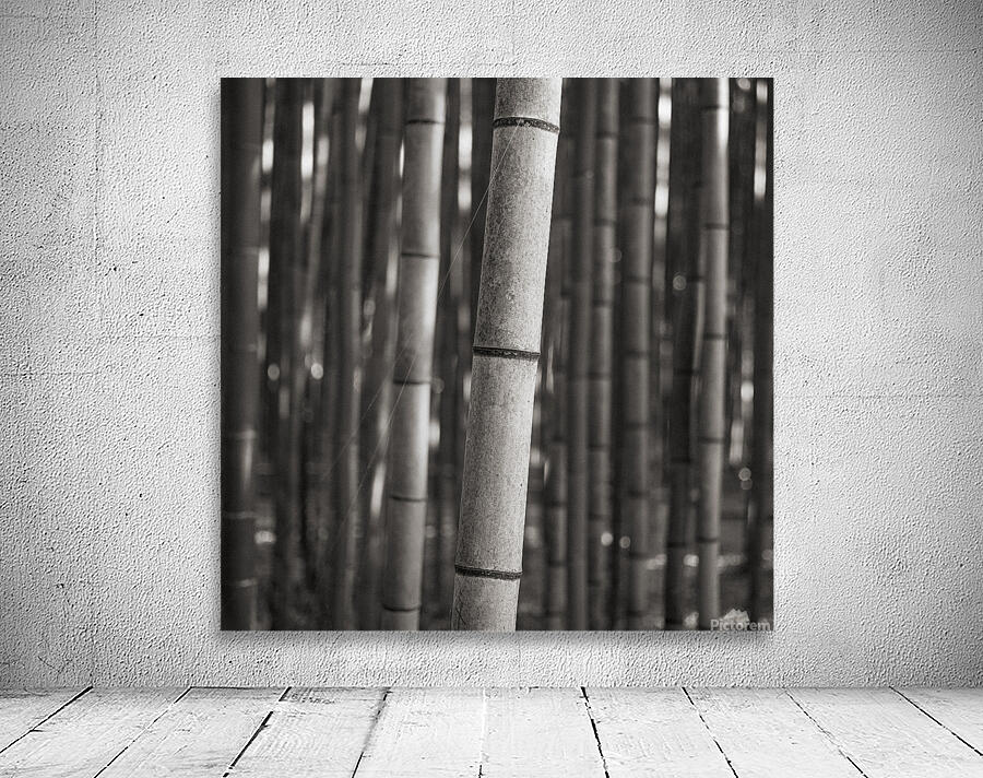 Arashiyama Bamboo Wall Preview