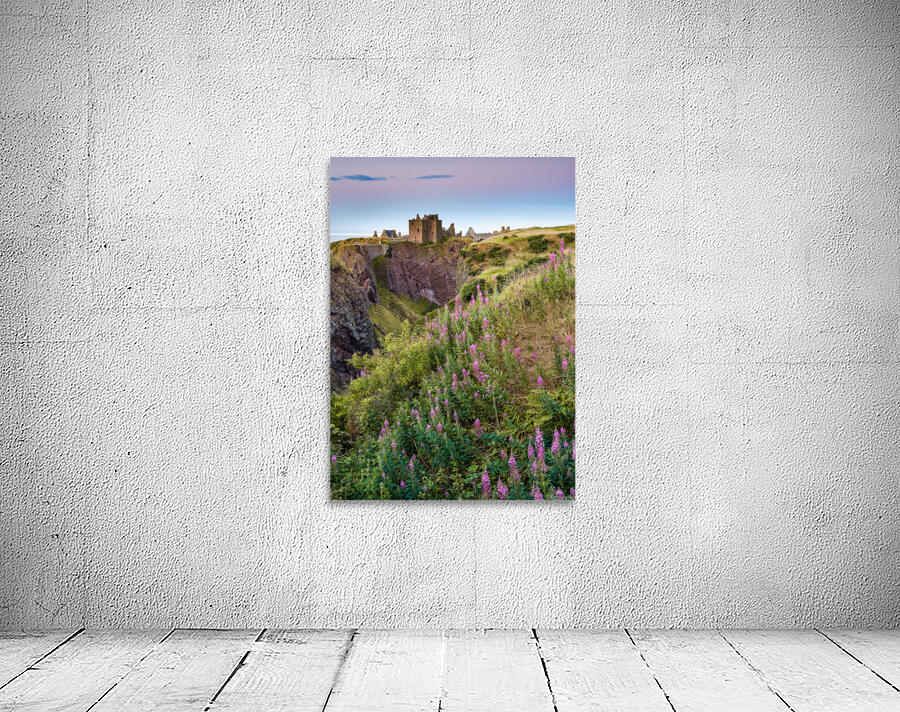 Summer at Dunnottar Castle Wall Preview