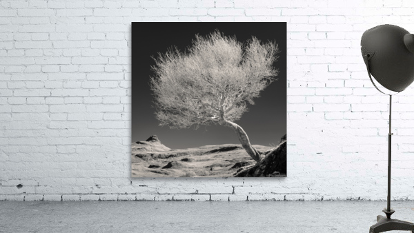 Highland Tree and Peak Wall Preview