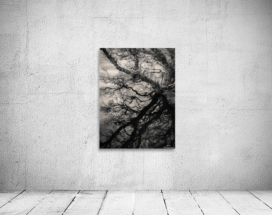 Lochan Na Cuilce Reflections Wall Preview