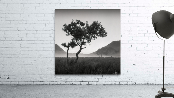 Crummock Water Tree Wall Preview