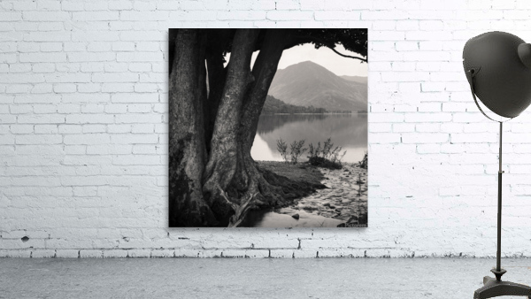  Rivulet to Buttermere Wall Preview