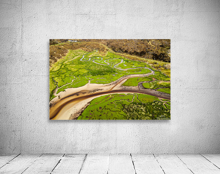 Harris Marshland Wall Preview