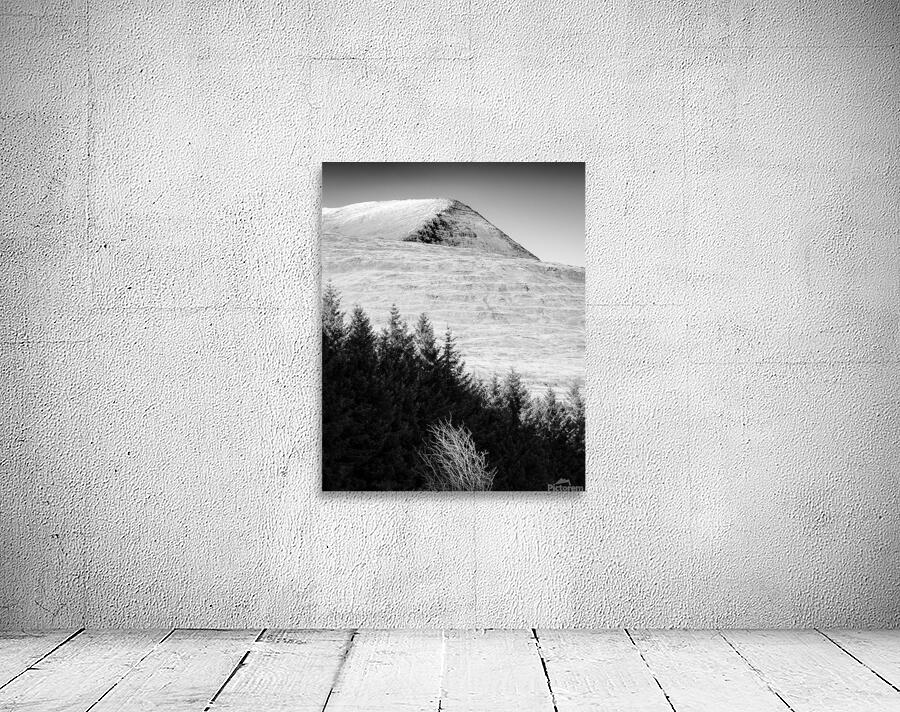 Mull Trees and Peak Wall Preview