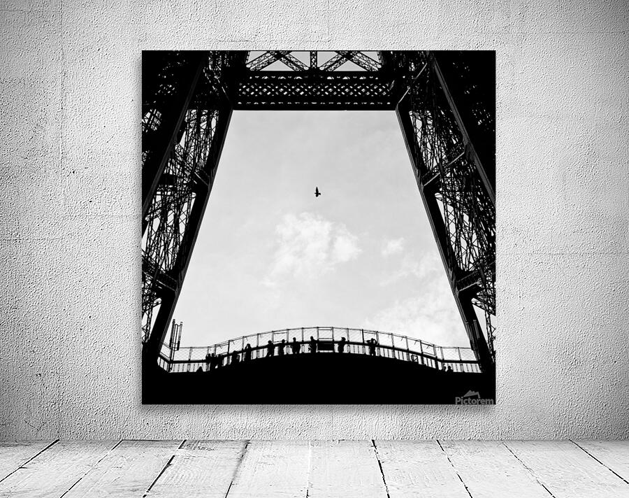 Birds-Eye View Wall Preview