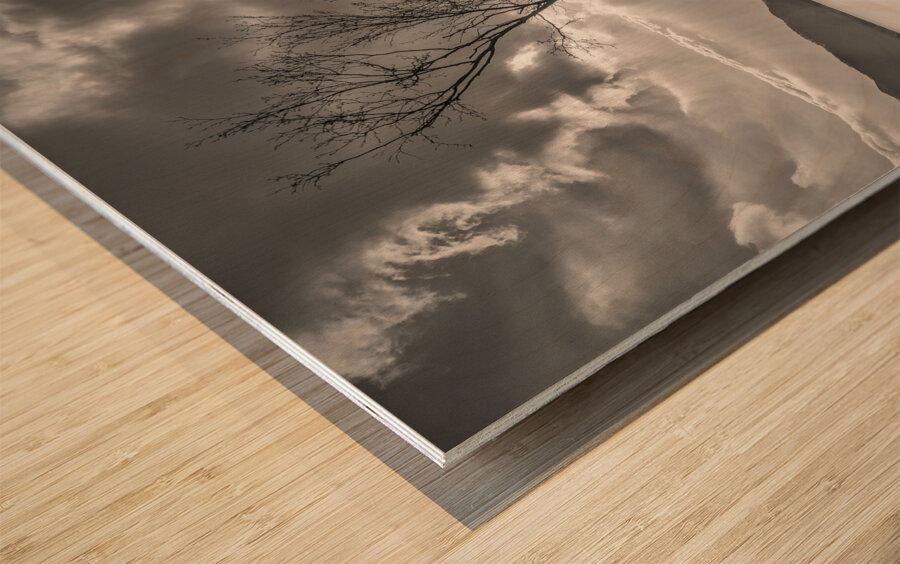 The Lonely Tree Impression sur bois