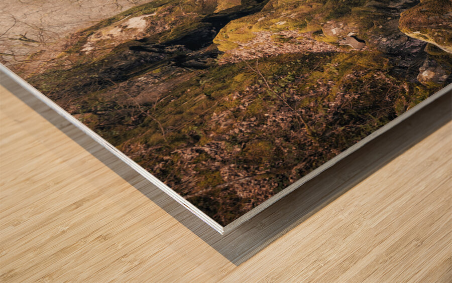 Fairy Glen Wood print