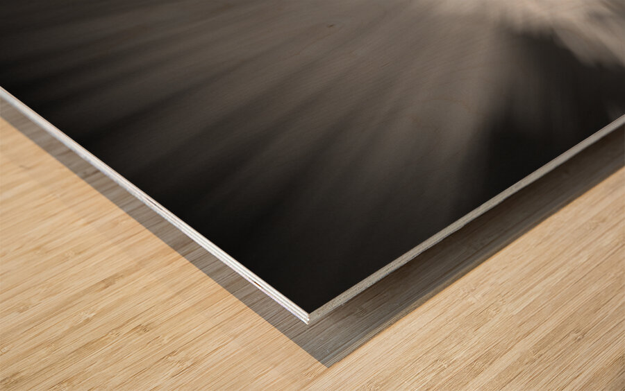 Path to Twr Mawr Lighthouse Wood print