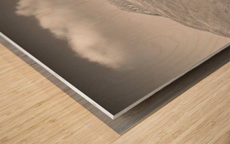 Glen Shiel Tree Impression sur bois