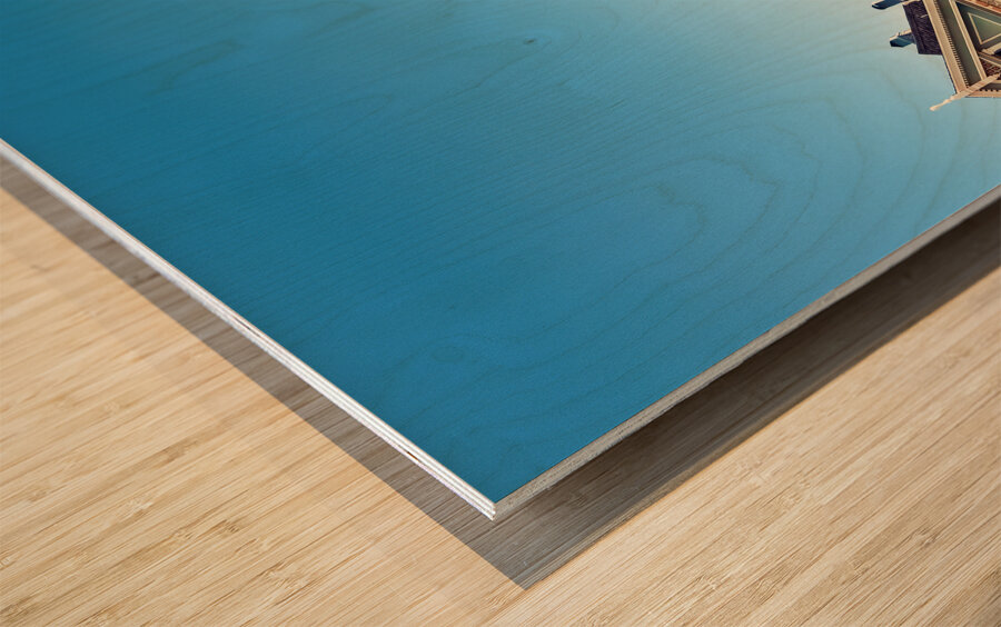 Painted Ladies Wood print