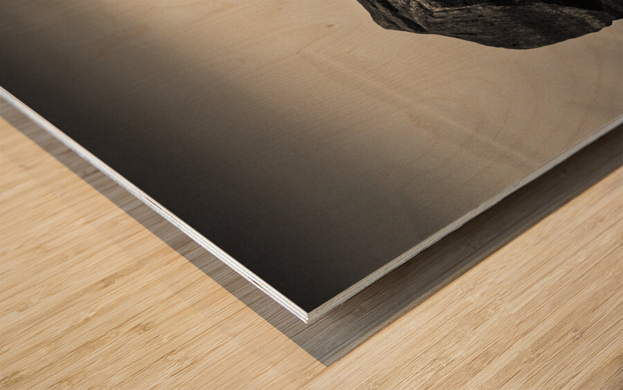 Dawn Flight Impression sur bois