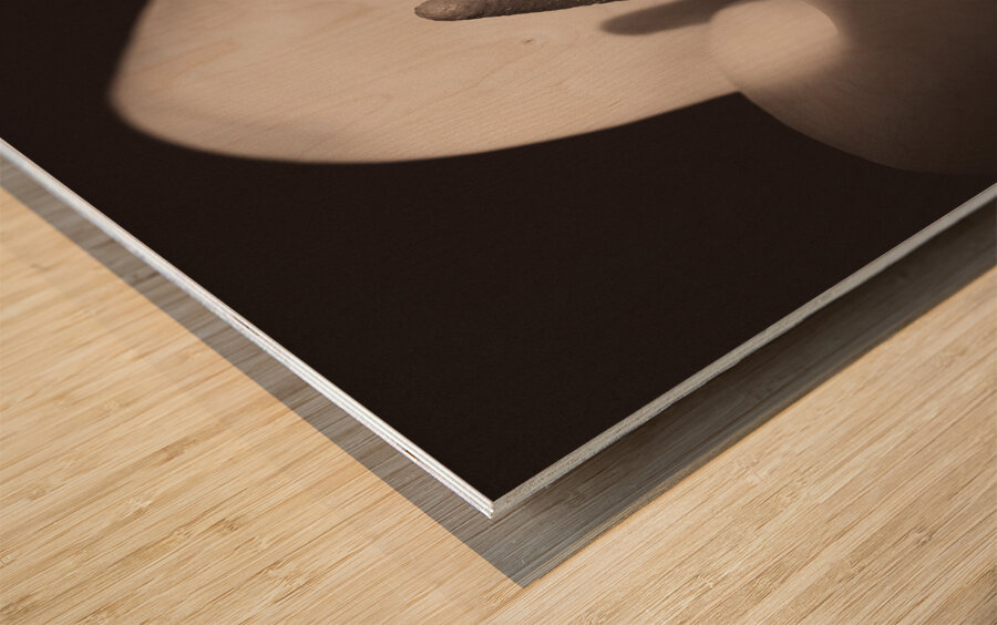 Calla Lily Wood print