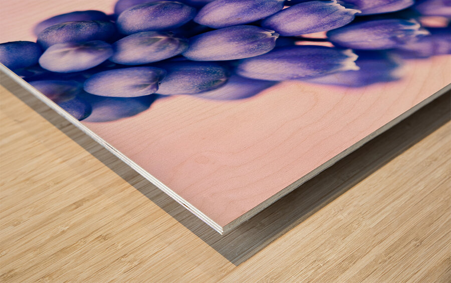 Muscari Buds Wood print