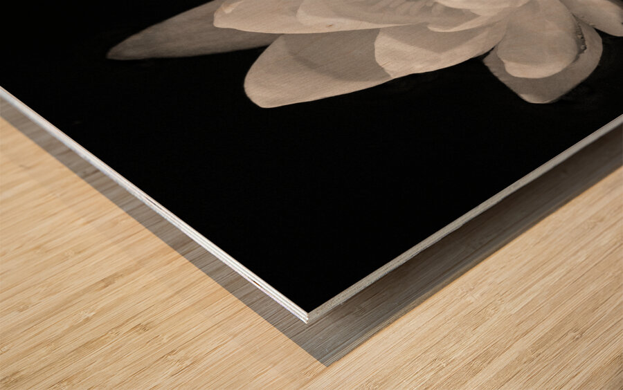 Water Lily Impression sur bois