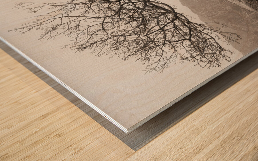 Dinorwic Quarry Ruin Wood print