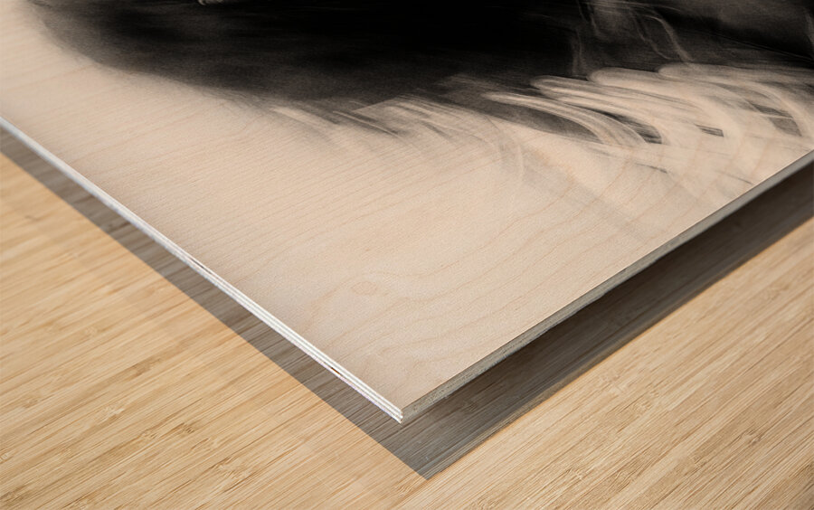 City Horses Wood print