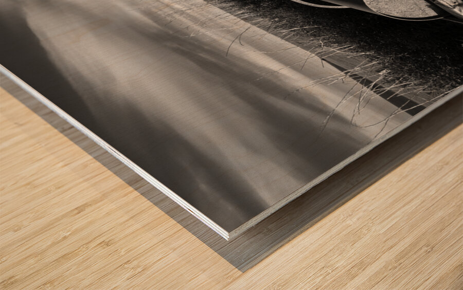 Crawton Field Roller Wood print