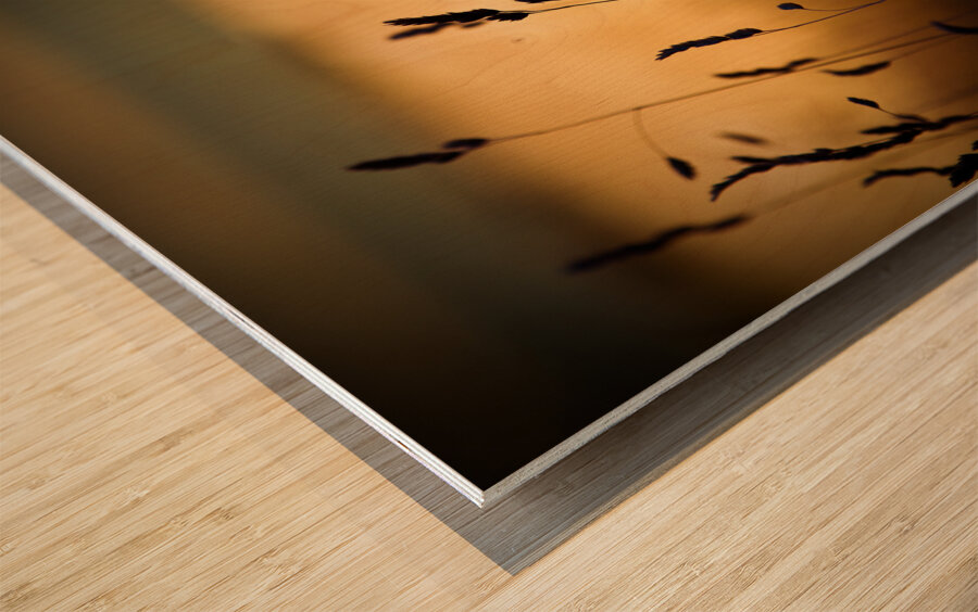 The Field Impression sur bois