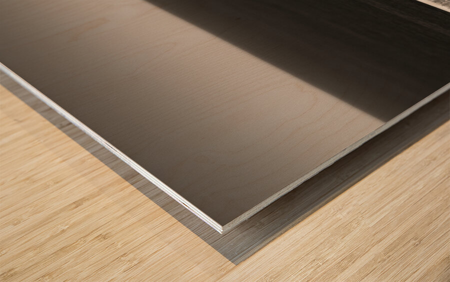 Sunlight on St Elmo Breakwater Wood print