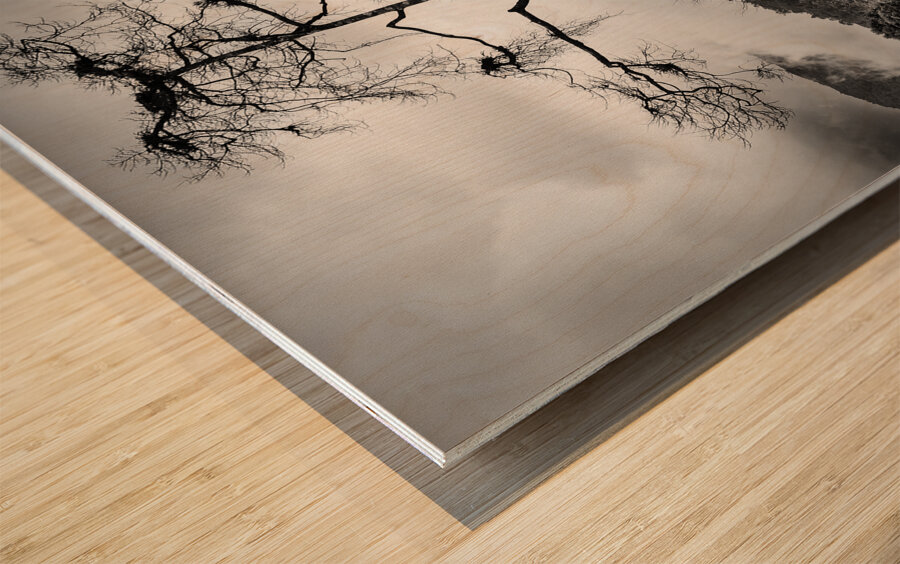 Solitary Tree Wood print