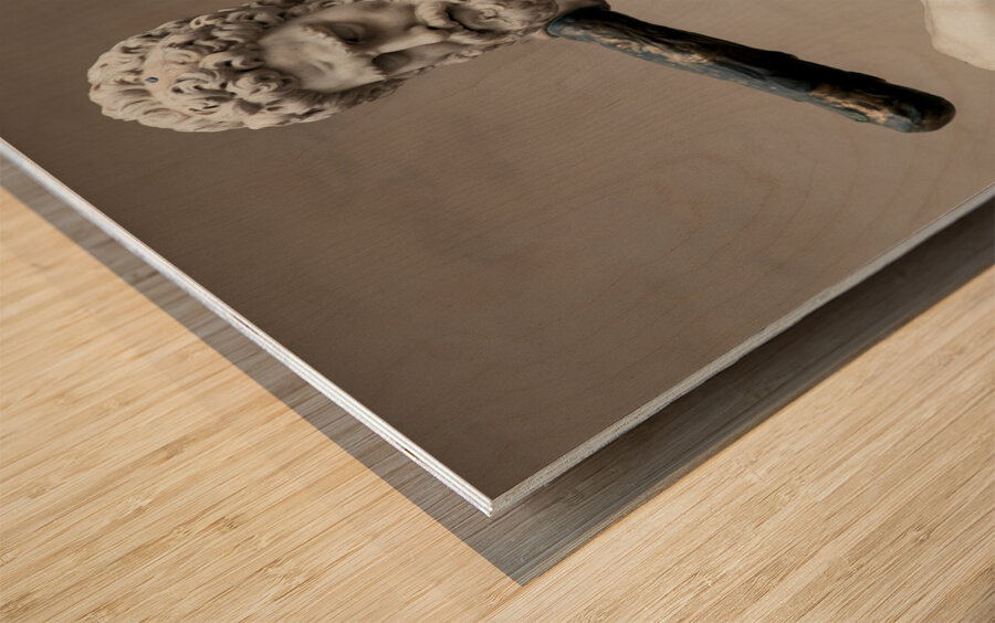 Hercules and the Centaur Nessus Impression sur bois