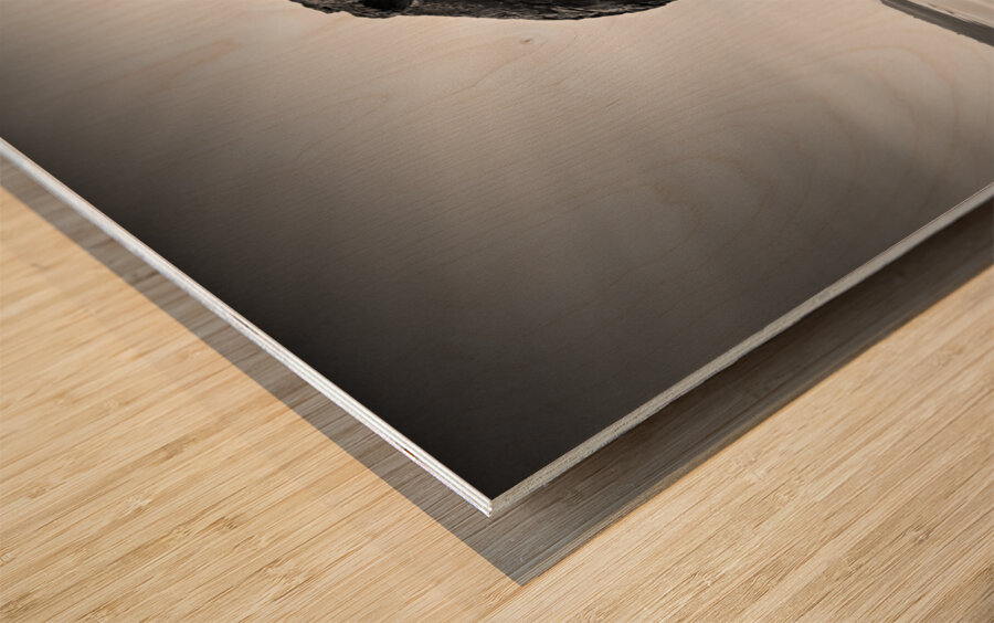 Whalebone Impression sur bois