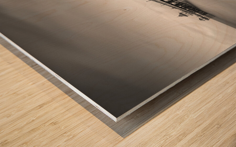 Clevedon Pier Wood print