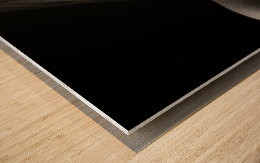 Nude Study  No4 Impression sur bois