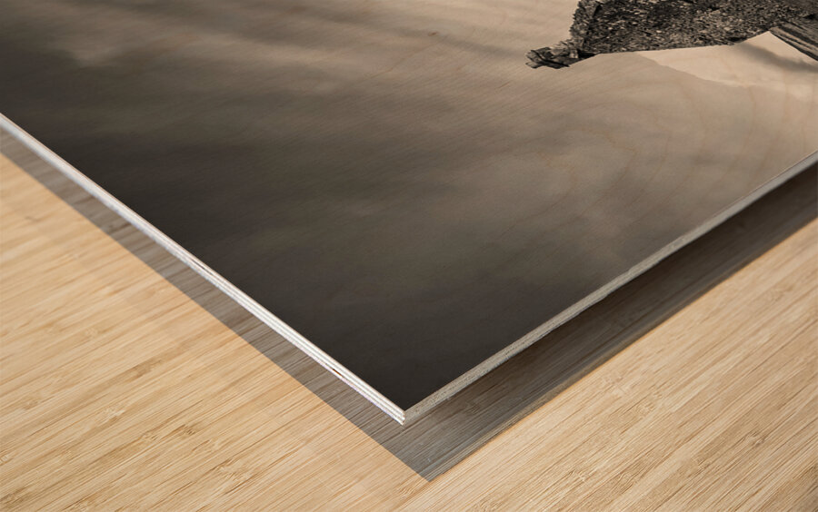 Old Cottage and Tree Wood print