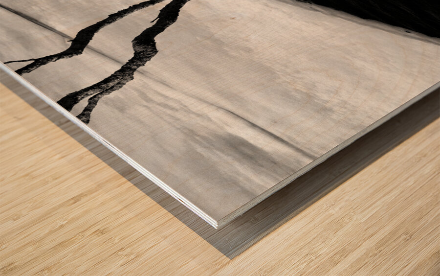 Tree and Ice Wood print