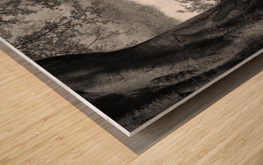 Summer Pond Wood print