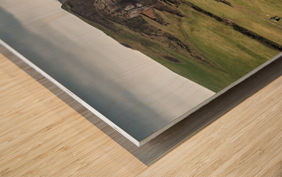 A Walk Along Sandymouth Cliffs Wood print