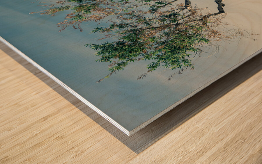 Olive Tree Wood print